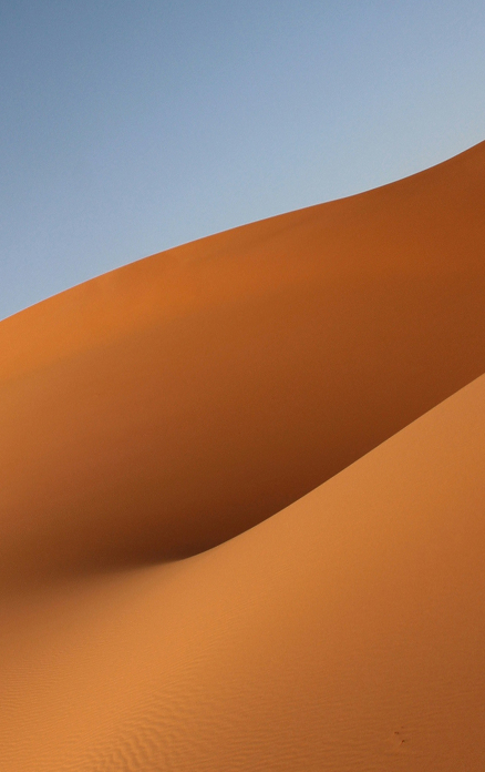 Copy trading dashboard showing top Polymarket traders